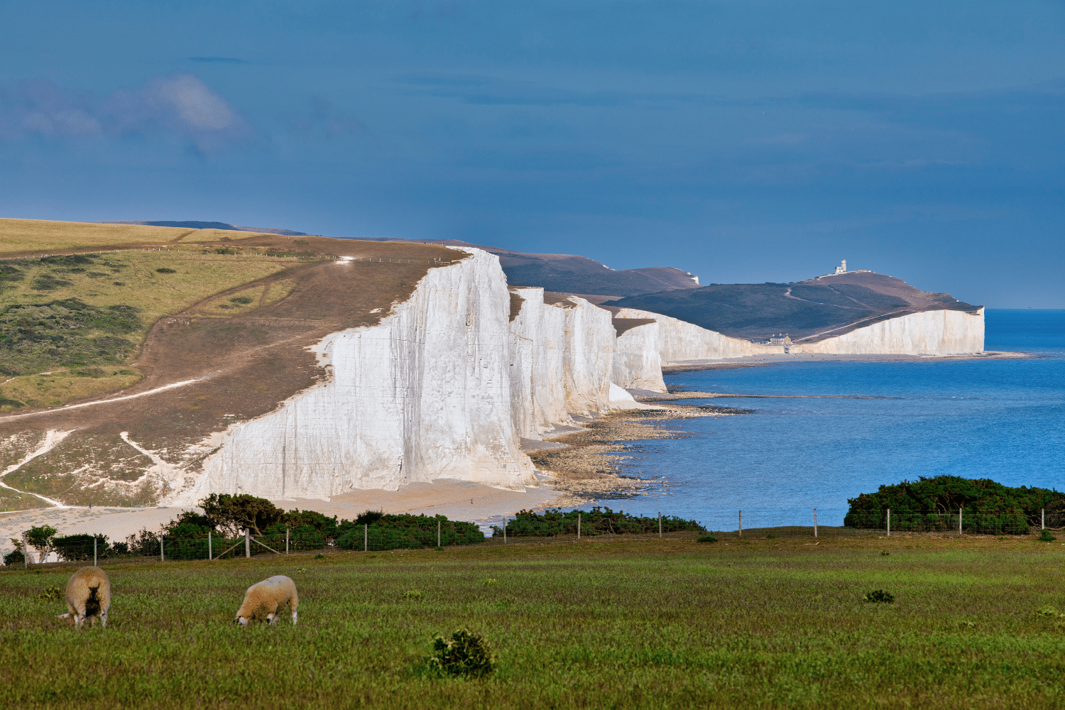 White cliffs of dover, popular attraction in Sussex