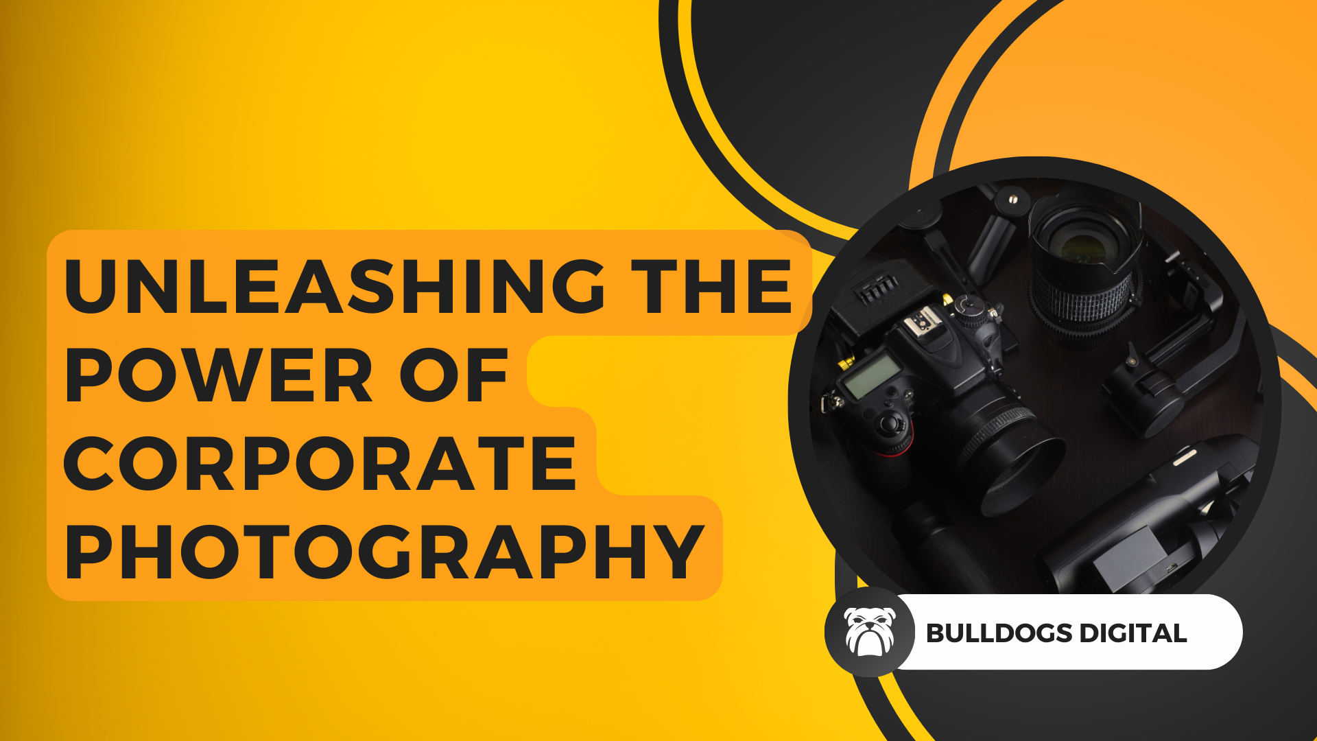The image incorporates a harmonious color palette and carefully arranged elements. It captures the essence of corporate photography, showcasing a blend of technical expertise, attention to detail, and artistic sensibilities. Bulldogs Digital Website Design and Photography Sussex