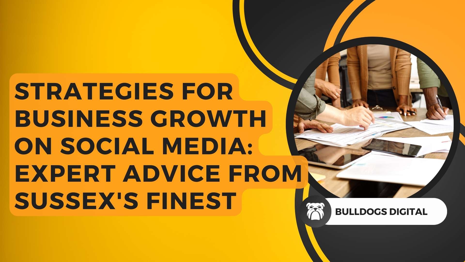 Strategies for Business Growth on Social Media: Expert Advice from Sussex's Finest Bulldogs Digital Website Design and Photography Sussex
